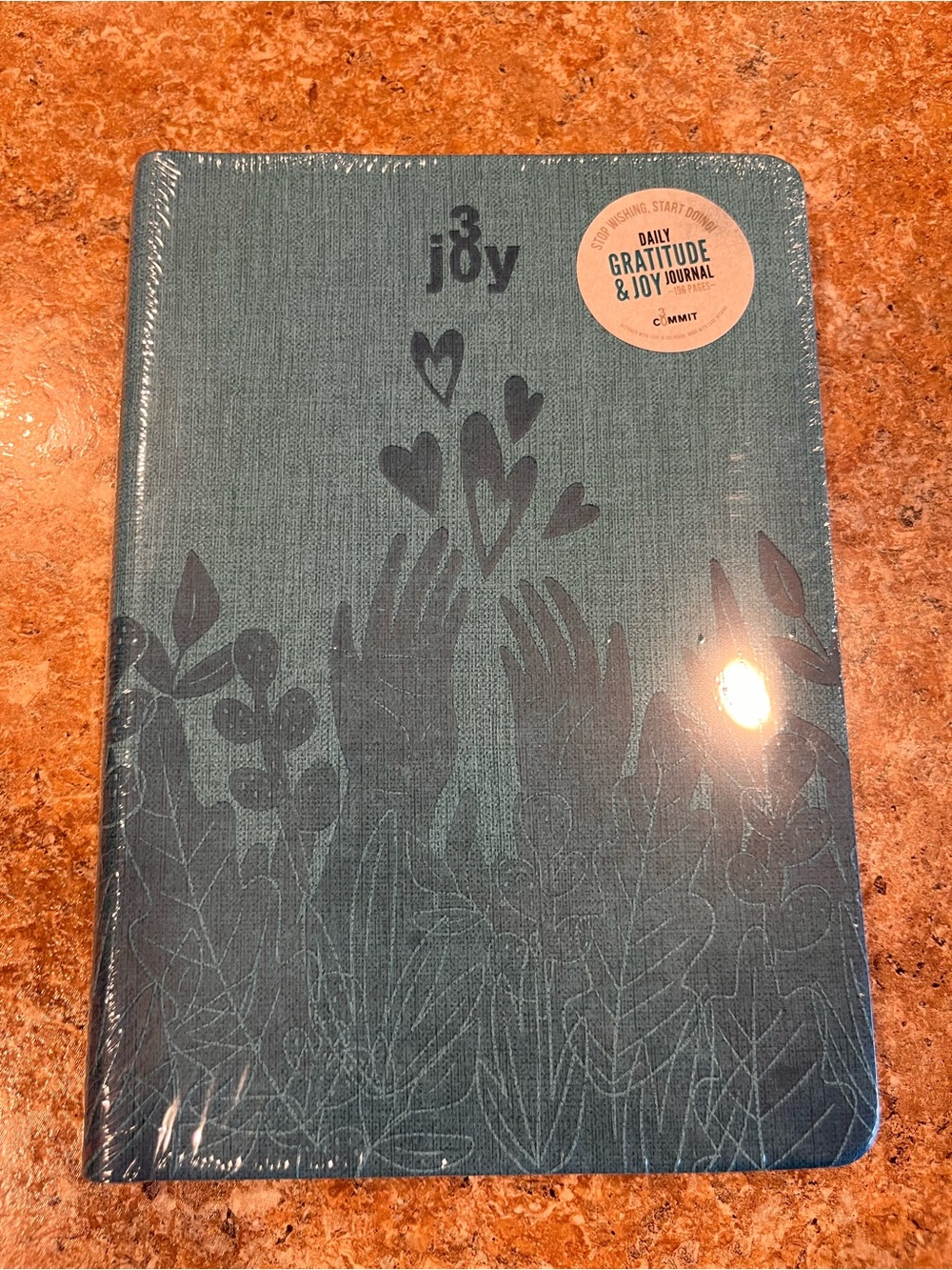 Daily Gratitude & Joy Journal - Teal Hardcover by 30 Commit